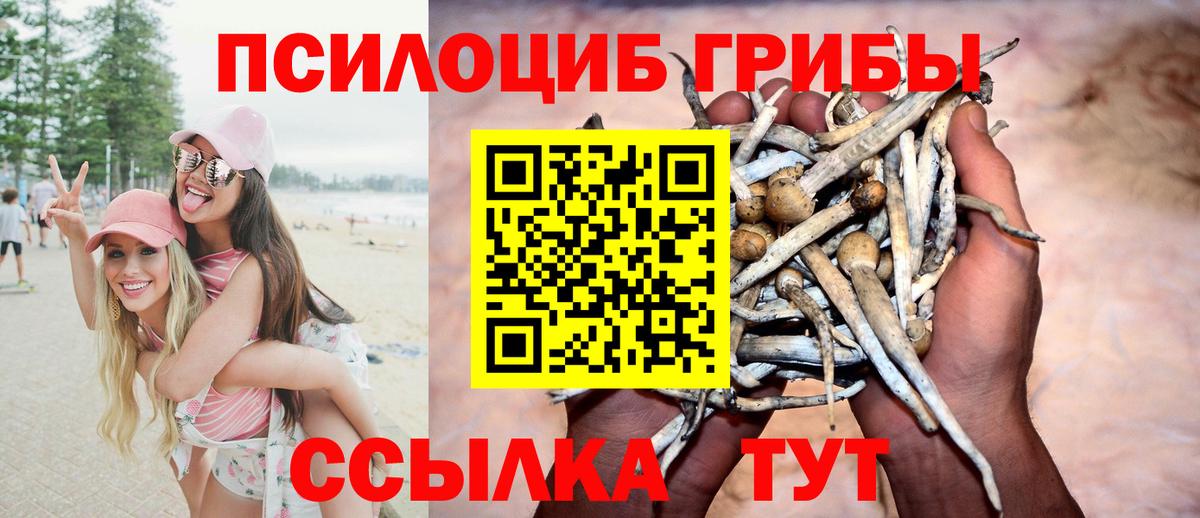Воткинск  Галлюциногенные грибы мицелий  наркотики  Вход с VPN 
